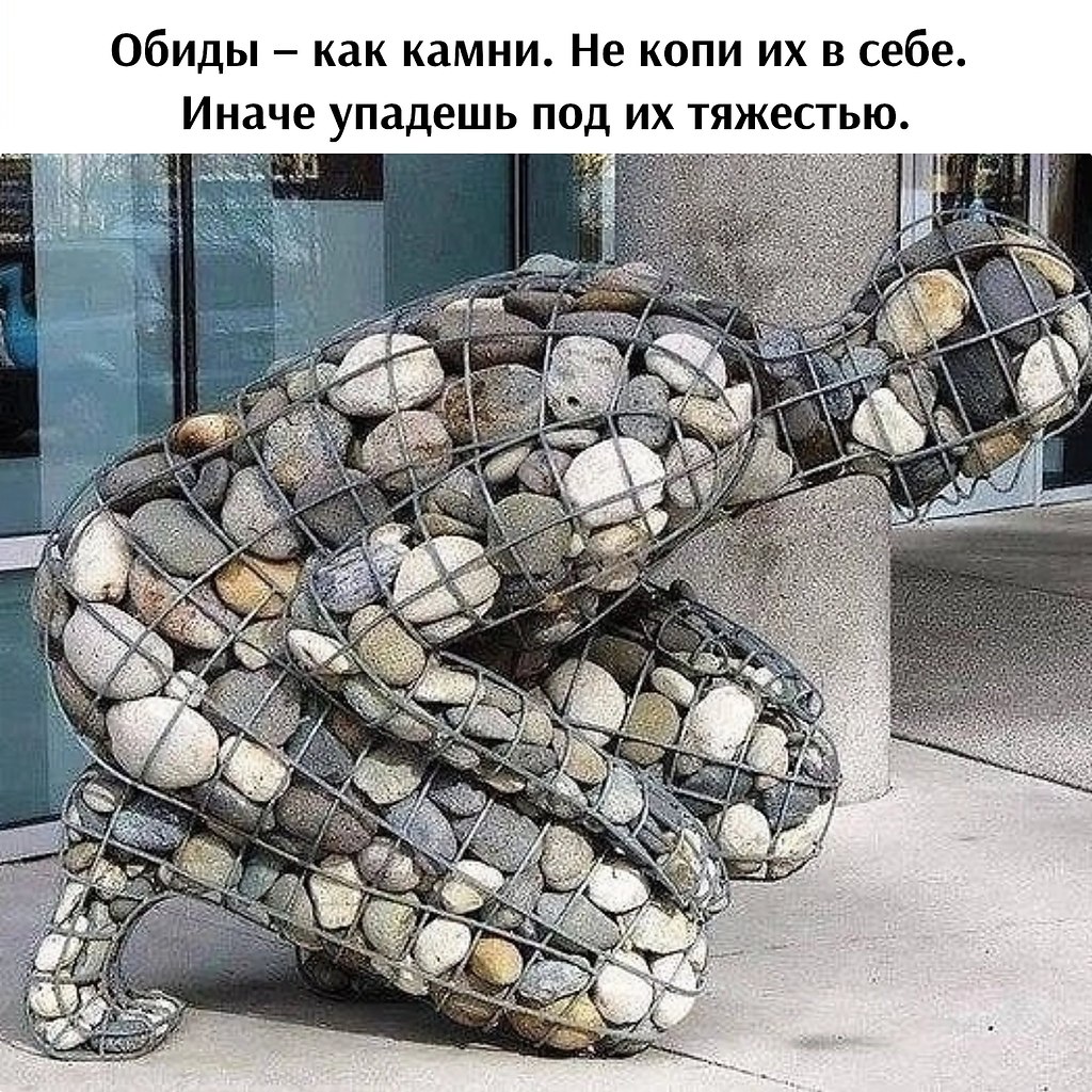   - 4  2025  11:56