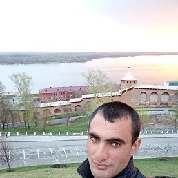 , 29, 