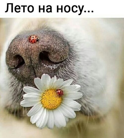   ! - 25  2025  18:51
