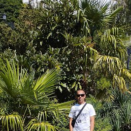 ����, ������, 50 ���