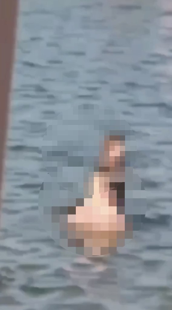     :        . , ,  ... - 3