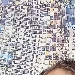 �������, �����, 49 ���