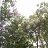 ���� �������, �����������, 69 ��� - ��������� 6 �������� 2026