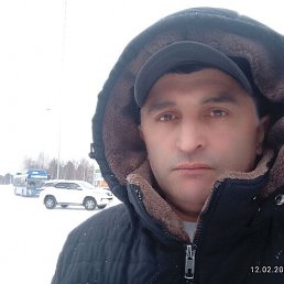 , 43 , 