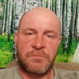 ������, ������, 45 ���