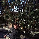 ���� ����, �������, 40 ��� - ��������� 17 ������ 2024 � ������ ���� ����������