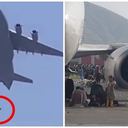 �����, ������ ��������, 41 ���