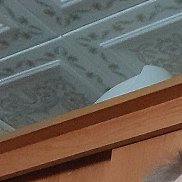 , 59 , -