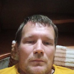 , 40, 