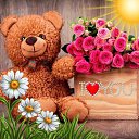 ���� �����, ������� ��������, 41 ��� - ��������� 3 ������� 2025 � ������ ������ ��������