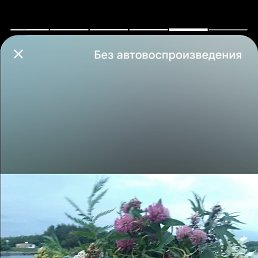 , 44,  