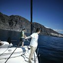 ���� �����, ����, 33 ���� - ��������� 11 ������ 2025