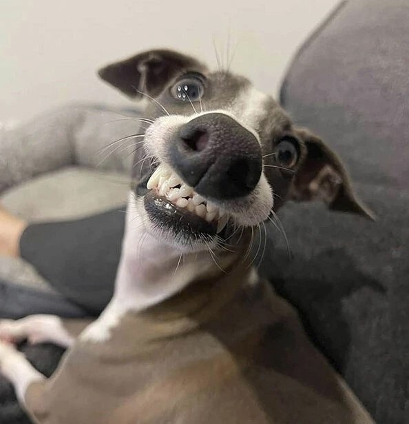 !