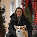 ���� ������, ������ - ��������� 4 ����� 2026 � ������ ���� ����������