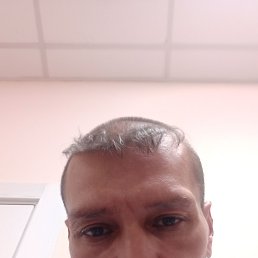 ��������, ��������, 48 ���