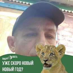 ���� �������, ������-��-����, 42 ���� - ��������� 1 ������� 2023