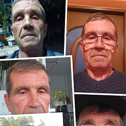 , 61, 