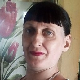 �������, ������, 44 ����