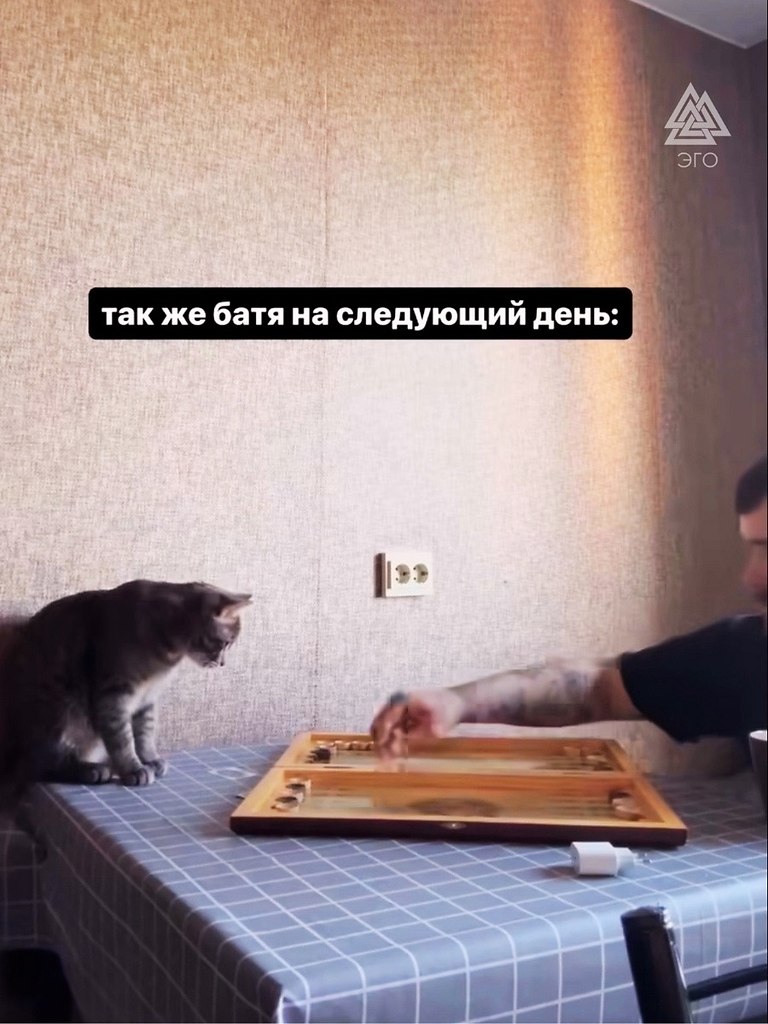        ,   - 2
