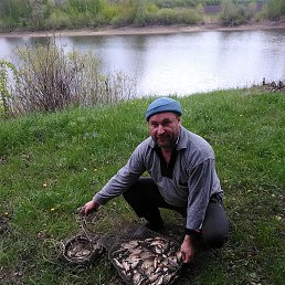 , 41, 