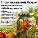 ���� �����, ������, 42 ���� - ��������� 24 ���� 2026 � ������ ������ ��������