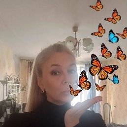 ���� �����, �����-���������, 56 ��� - ��������� 27 ��� 2026