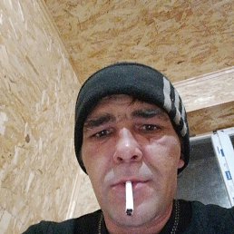 ������, 41 ���, ����