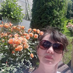 ����, ������, 51 ���