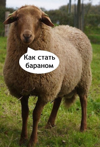    ! - 2