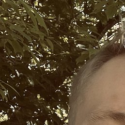 �����, �������, 25 ���