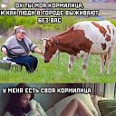  ,  -  22  2025    