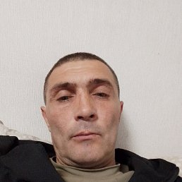 , 44, 