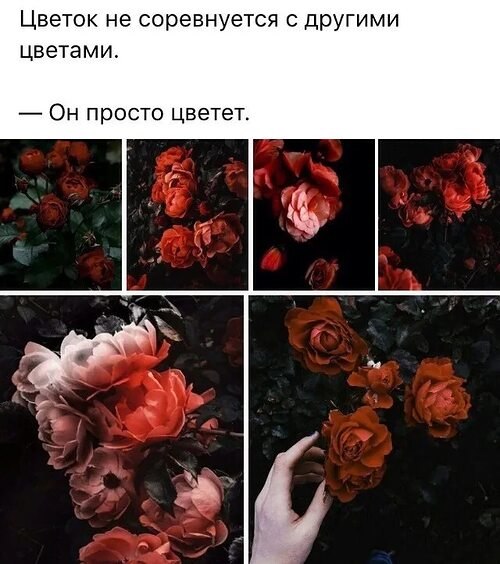   ! - 9  2024  13:52