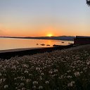���� Privet, ��������� - ��������� 12 ������� 2024 � ������ ���� ����������