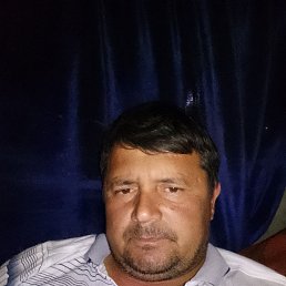 , 30, 