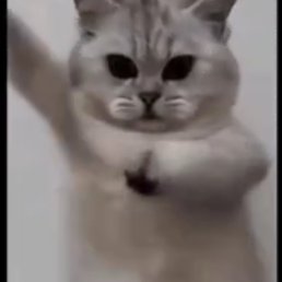 ���� ������, ������, 34 ���� - ��������� 19 ����� 2026