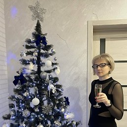 �������, 41 ���, ������