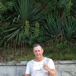 ���� ��������, ������, 48 ��� - ��������� 17 ������� 2024