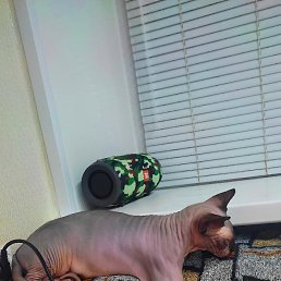 ���� �������, ������, 46 ��� - ��������� 16 ������ 2025