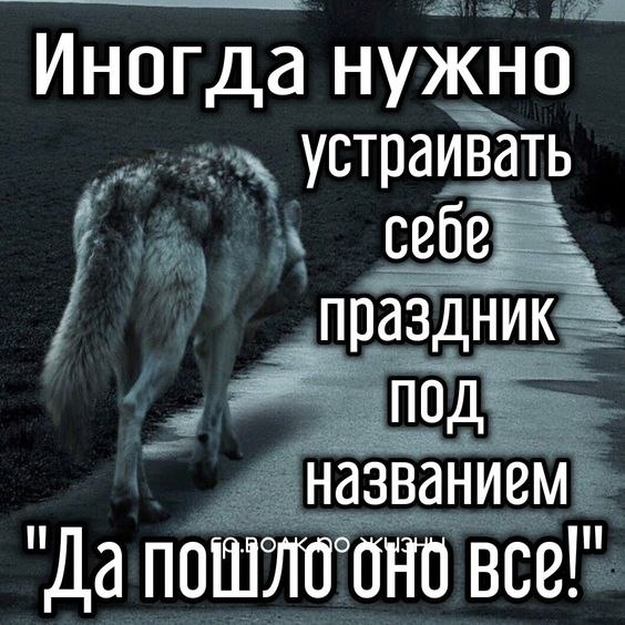 ₪╬═►  ||  ||  ◄═╬₪ - 28  2024  08:36