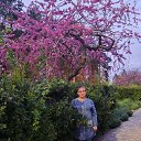 ���� �������, ���������, 63 ���� - ��������� 15 ������� 2025