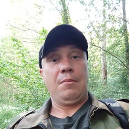 , 45, 