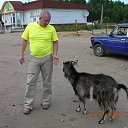 ���� �������, ����, 50 ��� - ��������� 29 ������ 2025 � ������ ������ ��������