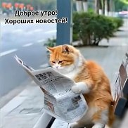, 54 , 