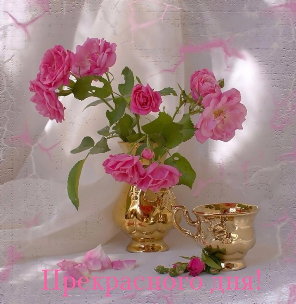 Добрый день картинки с розами. Цветы в вазах. Красивые цветы в вазе. Чудесные цветы в вазе. Хорошего настроения и удачного дня цветы.