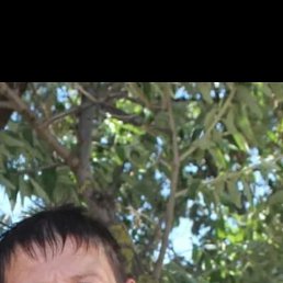 , 45, 
