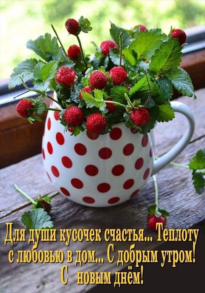   ,    . - 5  2025  08:45