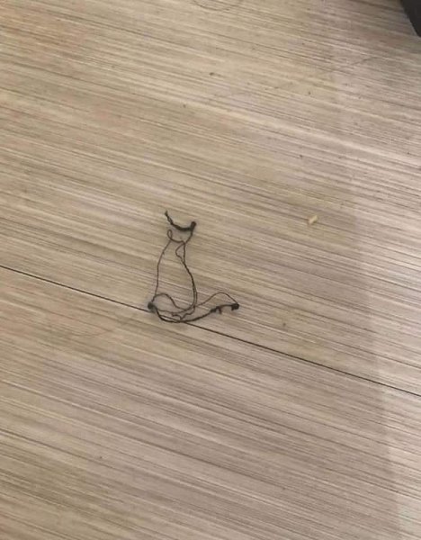 � ���� ����� �����! - 2