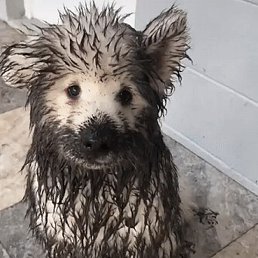 �������, ������, 45 ���