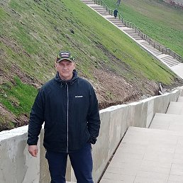 , 53,  
